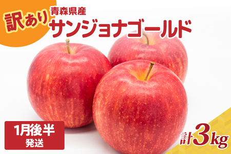 【2026年1月後半発送】りんご【訳あり】約3kg サンジョナゴールド | 青森県産りんご 家庭用りんご