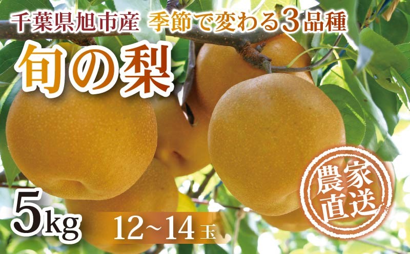 
            【 先行予約 】梨 約 5kg 幸水 豊水 あきづき 12 ～ 14玉 なし 梨産地 甘い 旬 夏果物 2025年発送 先行予約 果肉 しゃりしゃり 水水しい みずみずしい 糖度 くだもの 果物 フルーツ 旬のフルーツ 冷蔵 ふるさと納税 産地 送料無料 千葉県 千葉 旭市 旭市産 まる吉園 mkn
          