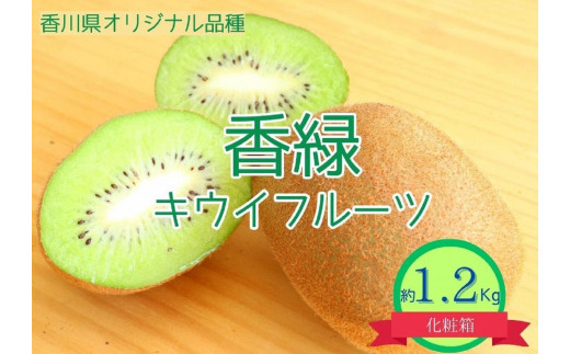 
                  ＜先行受付　2026年発送＞香緑　キウイフルーツ　約1.2kg（化粧箱）
                