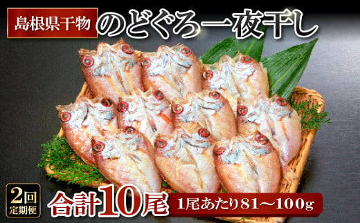 のどぐろ一夜干し 5尾 【2回定期便】【1尾あたり81～100g のどぐろ干物 魚介類 魚 ノドグロ あかむつ アカムツ 新鮮 干物 定期 2回 個包装 小分け 真空パック 冷凍 贈答 ギフト プレゼント 父の日 母の日】