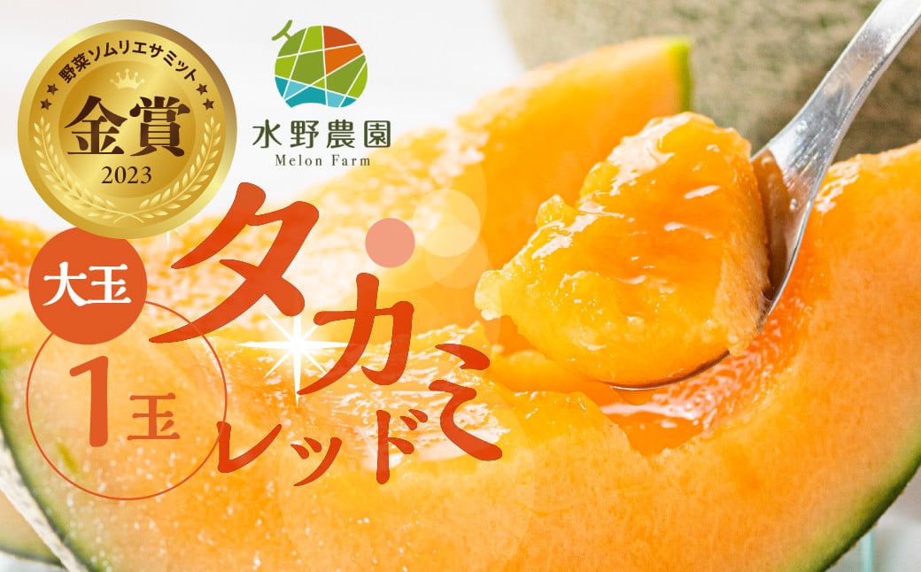 
            水野農園産タカミレッド　大玉１玉
          