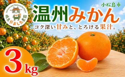 【先行予約】 【2026年12月順次発送】 温州みかん 3kg みかん  完熟 柑橘 果物 フルーツ 国産 新鮮 お中元 甘い 農家直送 【北海道、東北、離島、沖縄配送不可】