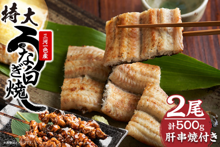 【土用の丑の日対応　二の丑7/25（木）入金まで】三河一色産　最高級うなぎセット 特大2尾（白焼2尾）計500g（冷蔵配送）
