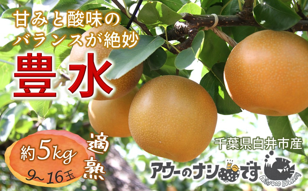 
            【今夏収穫分】 梨 豊水 約5kg 9～16玉 農家直送 千葉県白井市 予約受付 アウーファーム
          