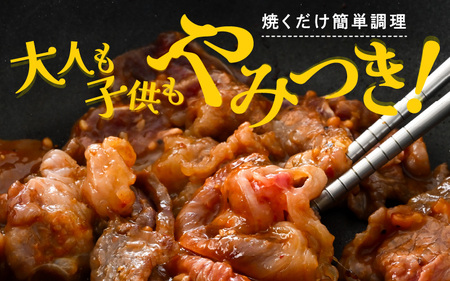 若狭牛スタミナ焼き（味付け）500g（250g×2袋）【若狭牛 すね肉 ばら肉 牛肉 国産和牛 黒毛和牛 ブランド牛 牛 スタミナ 焼き肉 簡単調理 冷凍 小分けパック】 [A-2249]