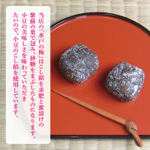 【TVで紹介されました】【木村屋本店】水戸銘菓 水戸の梅 15個入り 160年以上愛される老舗和菓子店【和菓子 お菓子 スイーツ デザート あんこ こし餡 求肥 お土産 老舗 水戸市 茨城県 】（JR