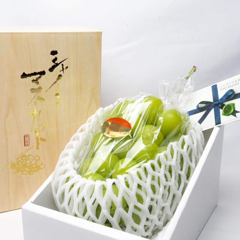 ハウス育ち シャインマスカット約600ｇ　1房化粧箱入り 果