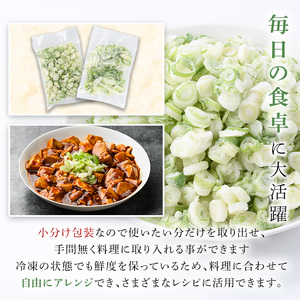 冷凍深ネギ(小口/斜め切り・合計2kg・250g/袋) 野菜 冷凍 冷凍野菜 小分け ねぎ ネギ 深ネギ 小口切り 斜め切り ねぎま 簡単 手軽 小分け 【合同会社グッドフィールド】akn056-15