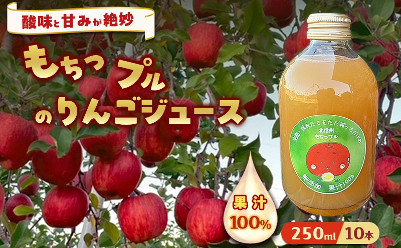 
                  もちっプルのりんごジュース 果汁100% 250ml×10本りんごジュース ジュース 飲料 100%果汁 サンふじ 山ノ内町 もっちーの畑
                