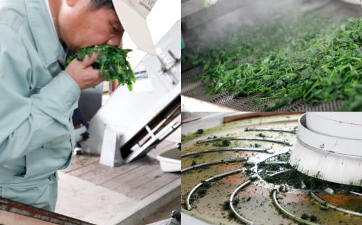 A40 八女の和紅茶スパークリングサイダー Blue （300ml×5本セット）