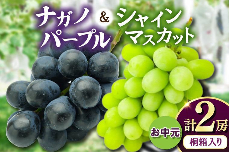 
            お中元桐箱入りナガノパープル1房・シャインマスカット1房　県内共通返礼品:かすみがうら市産 (BR171)
          