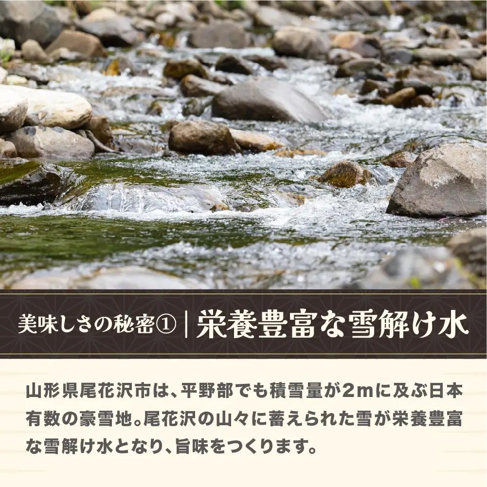 新米 令和8年産 玄米 つや姫 10kg ja-tsgxb10