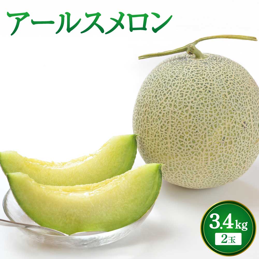 【ふるさと納税】【先行予約】 メロン アールスメロン 2玉入り 合計 約3.4kg サンサンうきっ子宇城彩館 宇城市産 九州産 熊本県産 国産 送料無料 サンサンうきっ子宇城彩館 【2026年6月上旬〜6月下旬頃発送予定】