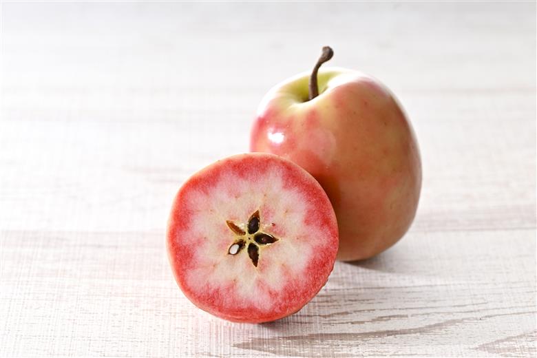 【ＡＮＡ限定】【 9月 下旬】 りんご レア品種 御所川原 約3.5kg（30個） 青森 五所川原【 リンゴ 林檎 果物 フルーツ 】