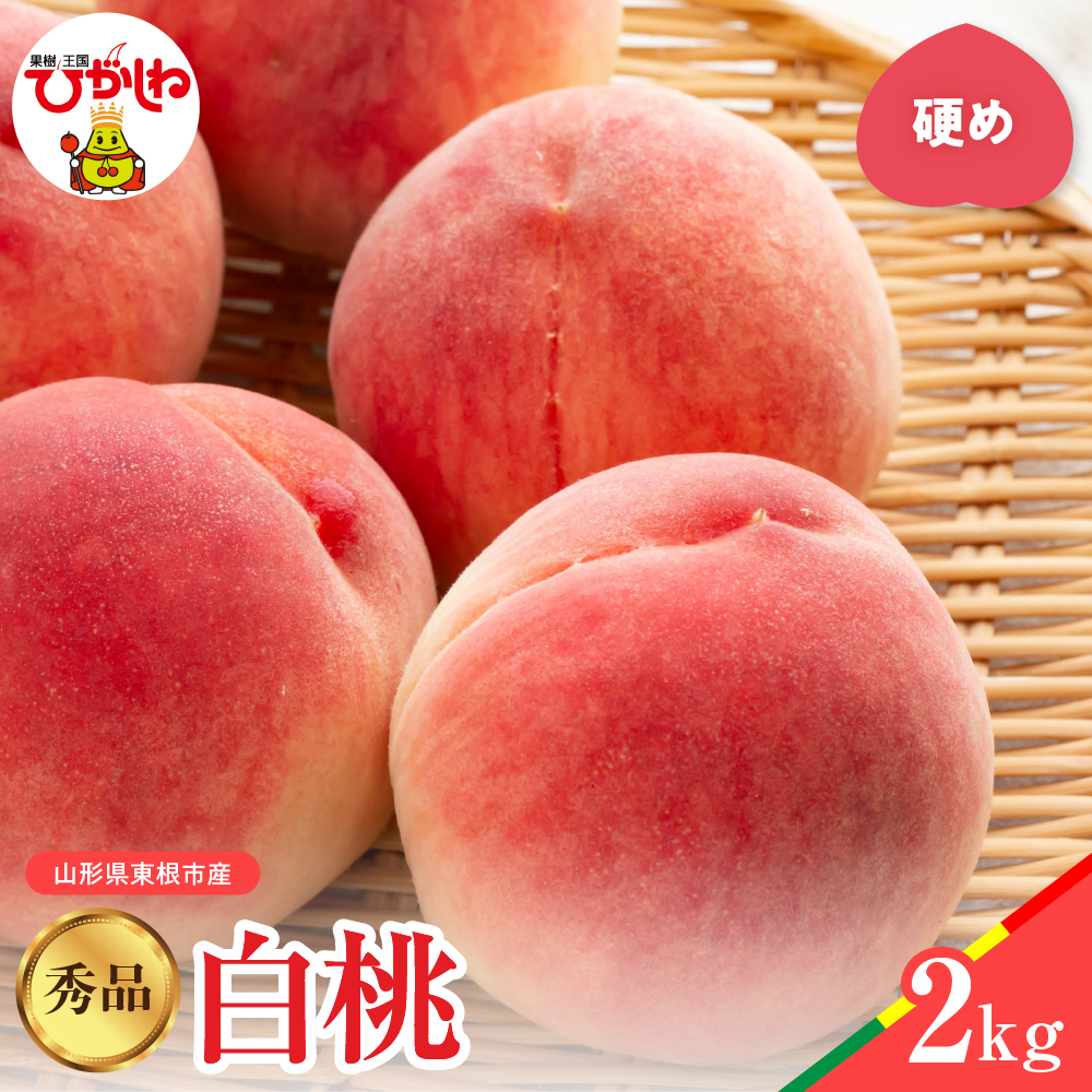 【2026年産】白桃 品種おまかせ 秀品2kg(硬め) 松栗提供 山形県 東根市 hi062-056
