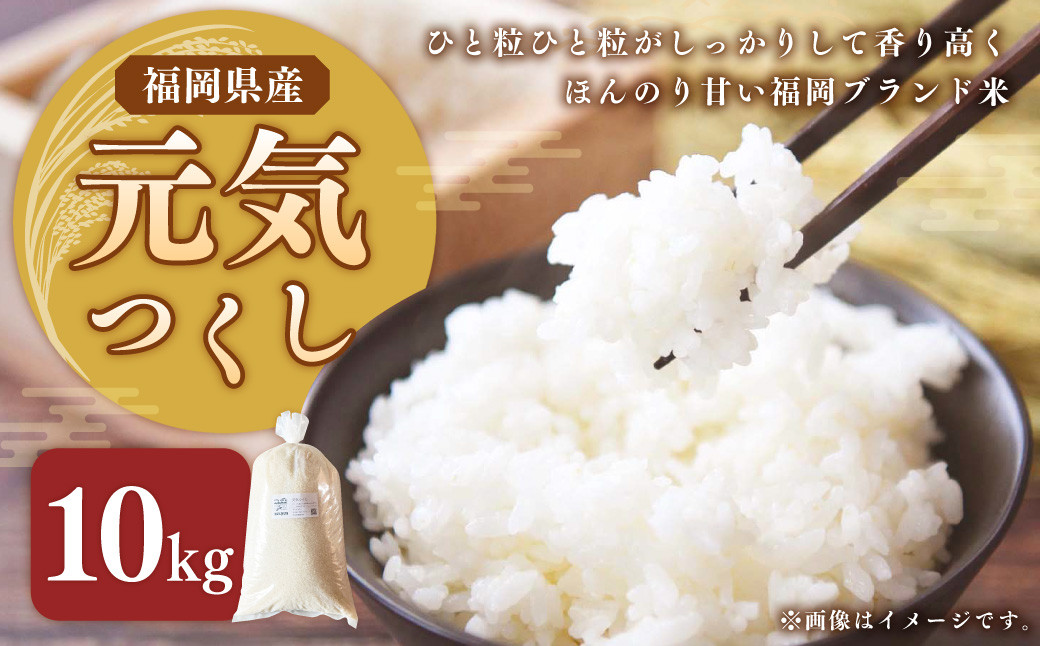 
            【選べる発送月】【令和7年産】福岡県ブランド米「元気つくし」10kg 米 お米 白米 精米 岡垣町 
          