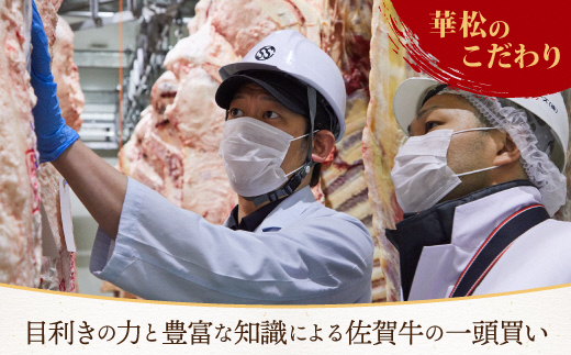 【特選定期便 全12回】 佐賀牛 ゴールドセレクト便【合計 11.7kg】【国産和牛 牛肉 肉 牛 ヒレ サーロイン シャトーブリアン 肩ロース ウデスライス ステーキ すき焼き しゃぶしゃぶ 焼肉】