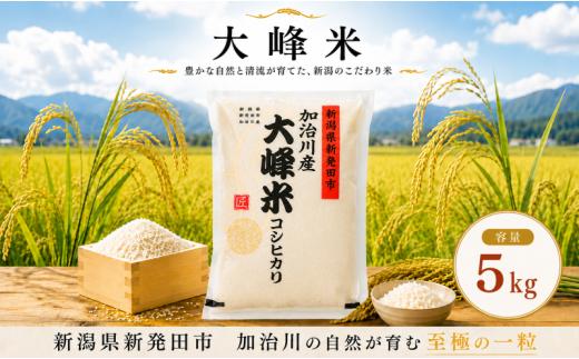 【大峰米コシヒカリ】 令和7年産 新潟県産 コシヒカリ 5kg 新潟県 新発田市 加治川産 新発田産 新潟 ふるさと納税 精米 米 お米 大峰米 白米 米 お米 こめ コメ ライス ご飯 ごはん 美味しい 贈り物 国産 新潟県 新発田市 お取り寄せ 令和7年産米 産地直送 GAP認証 JGAP アグリ加治川 agk008