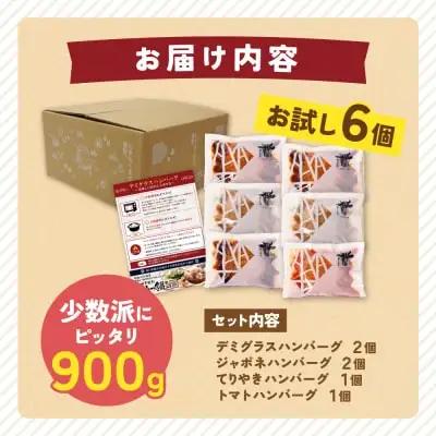 Z61-34 Best4バーグ 4種 6個 セット ハンバーグ