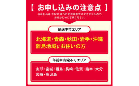 柿の葉ずし鯖10個・柚庵仕立　焼きさばずし詰合