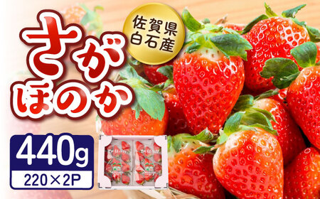 【2026年発送分 先行予約】白石産いちご「さがほのか」 220g×2パック / 佐賀県 いちご / 岸川農園[41ASAG010]
