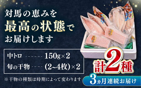 【全3回定期便】対馬産 本マグロ 中トロ 300g & 旬の干物 2種   [WAH009] マグロ まぐろ 本マグロ トロ アジ カマス