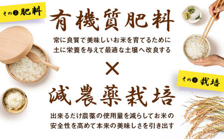 【令和7年産】お米ななつぼし5kg×2袋（精米）【AO-029】