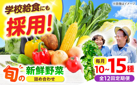 【全12回】【数量限定】厳選！旬を味わう高槻野菜おまかせ詰め合わせ定期便（10種～15種）　大阪府高槻市/高槻あぐり[AOCS021]