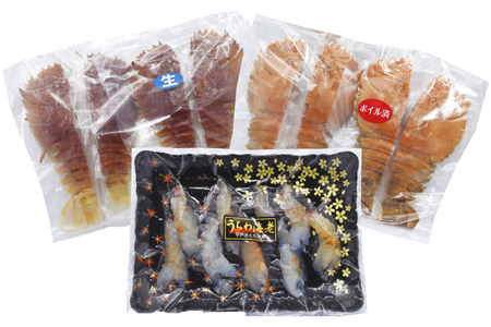 エビ 海鮮 刺身 ウチワエビ 美味三彩 3種 2～3人前 [平戸さくら水産 長崎県 平戸市 hr42bgy420402]