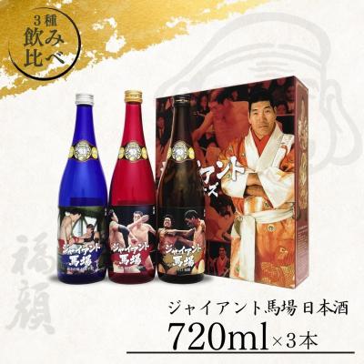 ふるさと納税 三条市 ☆数量限定☆ジャイアント馬場 日本酒 720ml×3本セット 純米吟醸 福顔酒造【022S016】