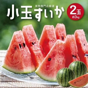 SA2925　酒田の果物専門店厳選　庄内産 小玉すいか　約3kg(2玉入)