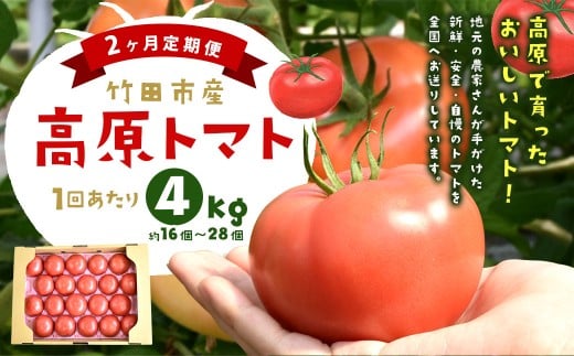 【2ヶ月定期便】 竹田市産 高原トマト 4kg 約16～28個 トマト とまと 野菜 【2026年1月上旬迄順次発送予定】