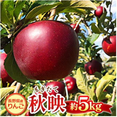 
                  もぎたて『秋映』りんご　約5kg【1053403】
                