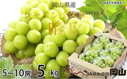 
            ぶどう 2026年   シャイン マスカット 晴王 5房～10房 約5kg＜2025年8月下旬～2025年10月下旬発送＞ ブドウ 葡萄  岡山県産 国産 フルーツ 果物 ギフト
          