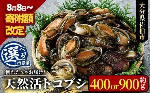 
            ＜内容量が選べる＞天然 トコブシ (約400g・約900g) 鮮魚 魚介 貝 トコブシ とこぶし 酒蒸し 網焼き バター焼き バーベキュー 獲れたて 冷蔵 海の直売所 大分県 佐伯市 魚貝 殻付【AS107・AS82】【海べ (株)】
          