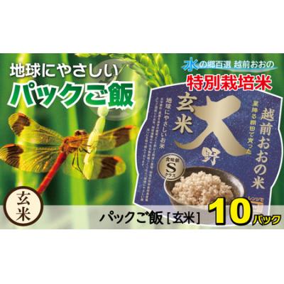 ふるさと納税 大野市 地球にやさしいパックご飯 10食入り【玄米】　減農薬・減化学肥料 「特別栽培米」-地球にやさしいお米