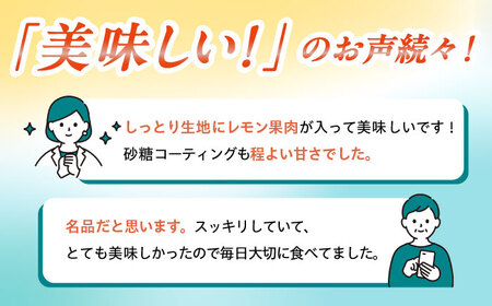 【6回定期便】レモンケーキ 毎月2本 長与町/文明堂総本店[EAK049]