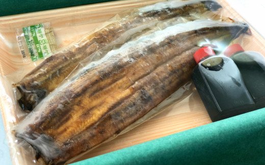 田野町産うなぎの蒲焼き（大）2本 タレ付き 山椒付き うなぎ 鰻 ウナギ 蒲焼き かば焼き 無頭 おいしい 国産 お取り寄せ 冷凍 配送