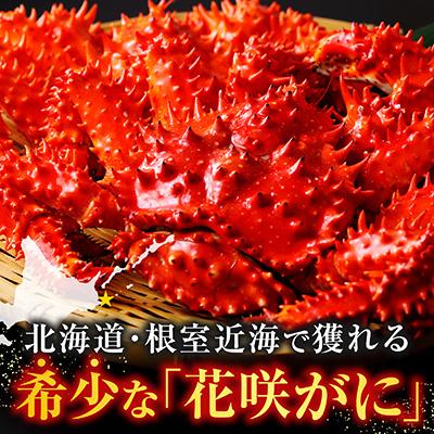 ふるさと納税 根室市 ＜12/21まで年内配送＞★花咲がに甲羅詰め80g前後×2個 G-54001 |  | 01