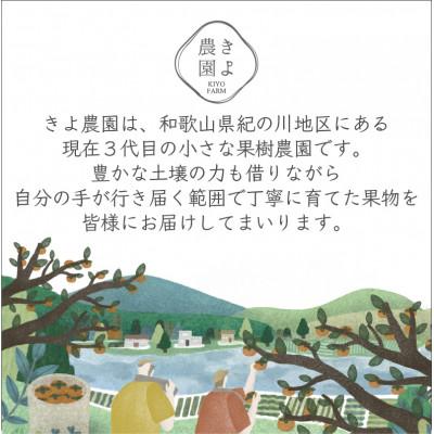 ふるさと納税 九度山町 先行受付　柿(種無し)　赤秀品大玉　6個入　約1.8kg |  | 03