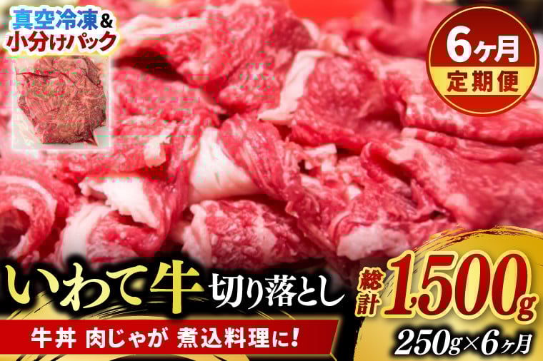 
            ＼6ヶ月連続 定期便／【9月より順次配送】切り落とし 肉 牛肉 小分け 真空冷凍 いわて牛 250g (総計 1500g) 岩手県産 和牛 牛肉 黒毛 和牛 切り落とし肉 大容量 肉 すき焼き 肉じゃが 煮込み 煮物 赤身 国産牛 小分け 冷凍 数量限定 (AB095)
          