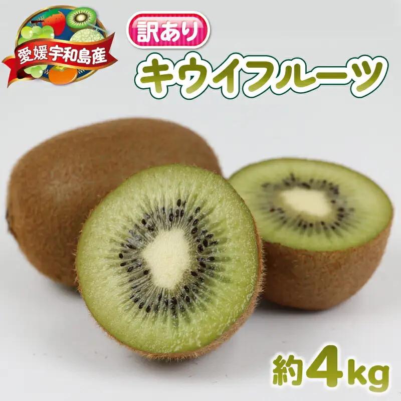 訳あり キウイ フルーツ 約4kg 杉本屋 【 訳あり キウイ 】F012-143002