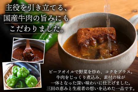 三田で育ったなすとピーマンのビーフシチュー 100食入 [コスモス食品 兵庫県 三田市 3d28bae190076]