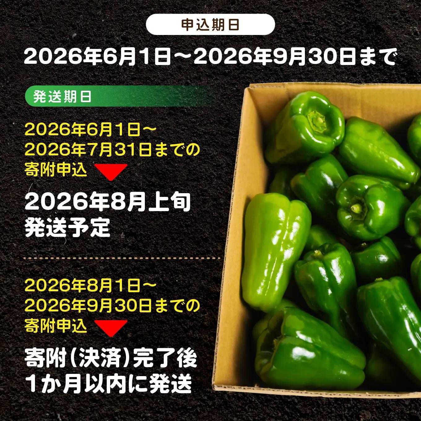 【青森県特別栽培】ピーマン 6kg ピクシー 【8月上旬～10月前半発送】　