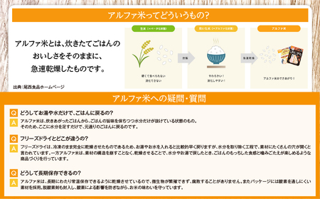 (04903)《5年保存》尾西の携帯おにぎり12個セット【保存食・備蓄に】