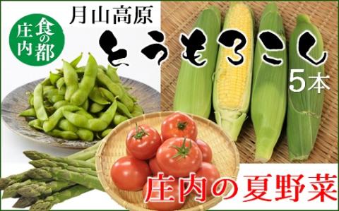 食の都庄内　庄内の夏野菜＆月山高原とうもろこし　※7月下旬～8月下旬発送 [HS4-138(庄内旬青果)]