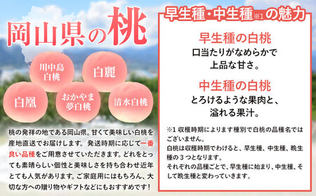 【先行予約】岡山白桃 等級 エース 約2.4kg《7月上旬‐8月下旬頃出荷》岡山県 浅口市 株式会社 はちや フルーツ モモ【配送不可地あり】