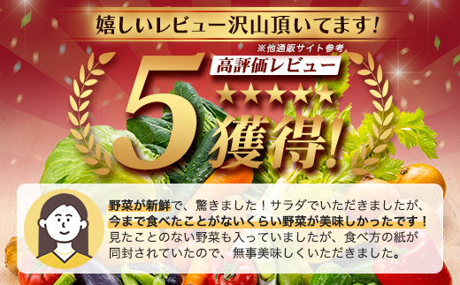 庄原産「旬の野菜」詰め合わせ箱 | 野菜セット 13～15品目 旬の野菜 やさい 1箱 冷蔵