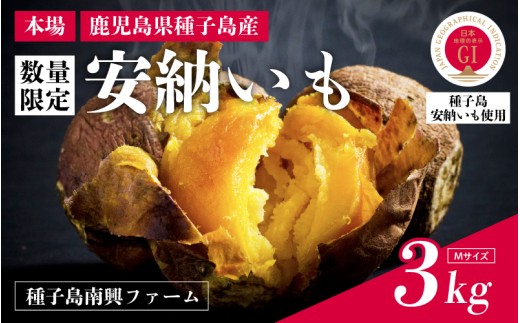 【先行予約】安納いも さつまいも 3kg （Mサイズ）【種子島南興ファーム】種子島 焼きいも 焼き芋 本場 安納芋 さつま芋 甘い ねっとり スイーツ おやつ グルメ お取り寄せ おせち 人気 種子島産 返礼品 南種子町 鹿児島 かごしま 【観光物産館トンミー市場】