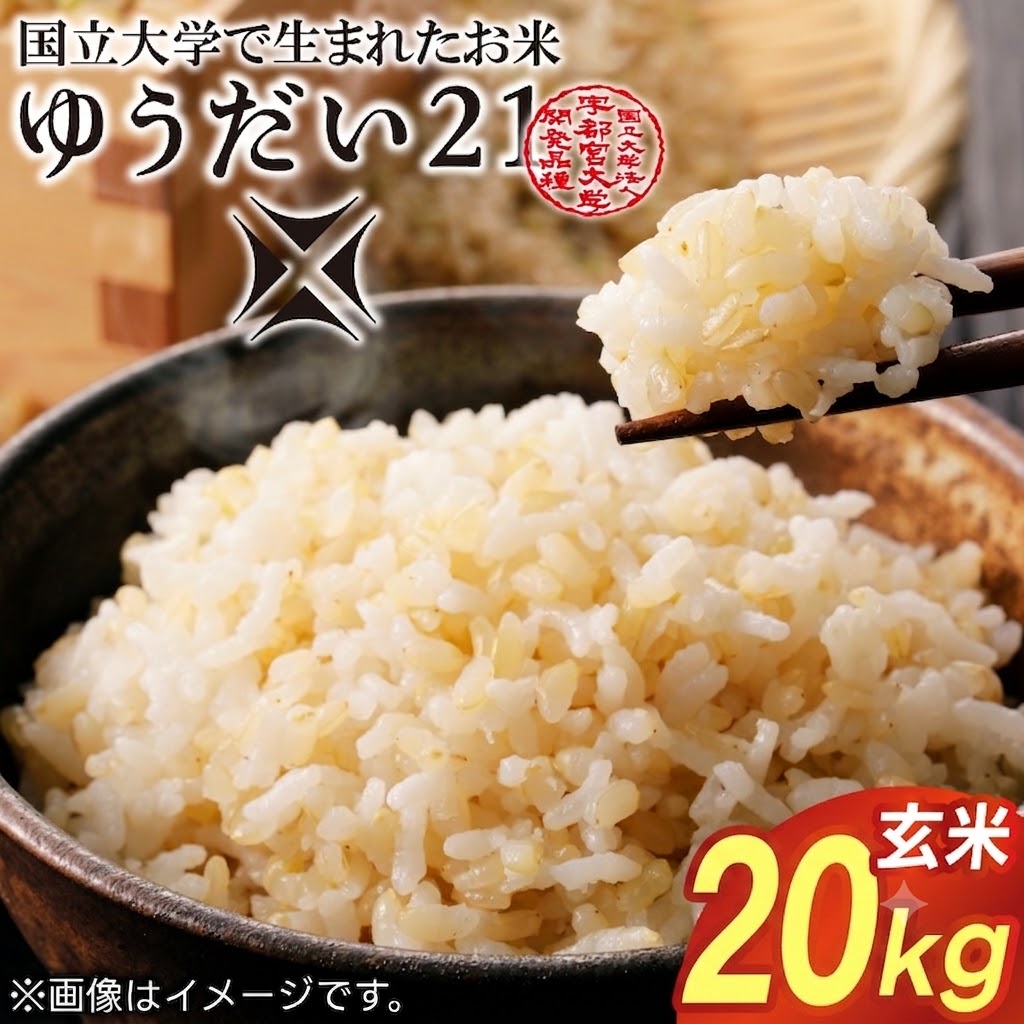 TVでも話題のお米 梨屋さんが本気で作ったこだわりのお米 ゆうだい21 ＼令和8年産／【数量限定】あい　farm　やなぎのお米　令和8年産 ゆうだい21 玄米 5kg | 栃木県 益子町 ふるさと納税 お米 米 5kg 玄米 (DQ008)